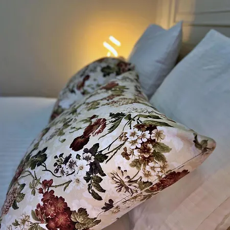 Zava Mansion Boutique - City Center 3*