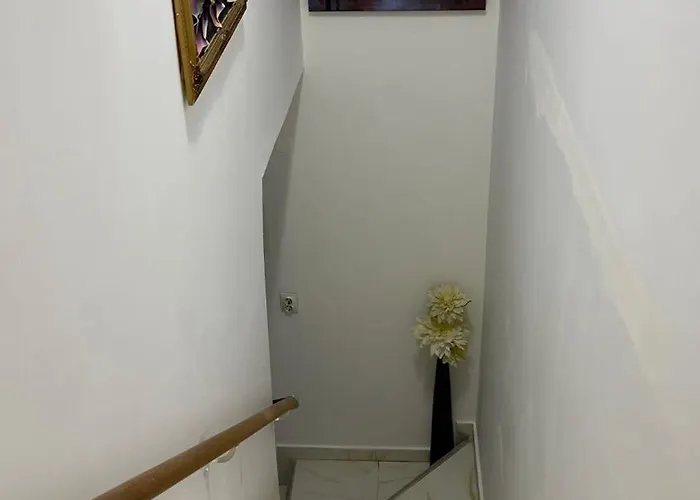 Zava-boutique Center